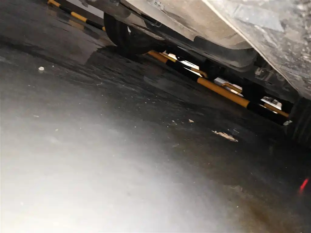 DONGFENG AEOLUS 2023