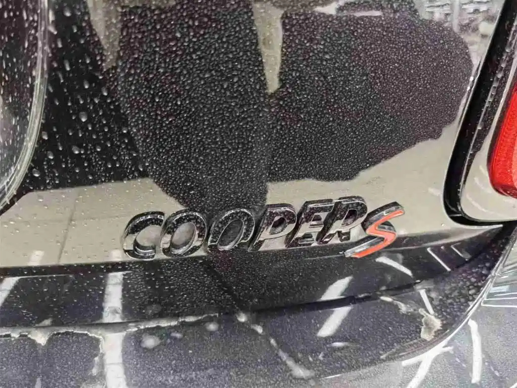 MINI OTHER 2022
