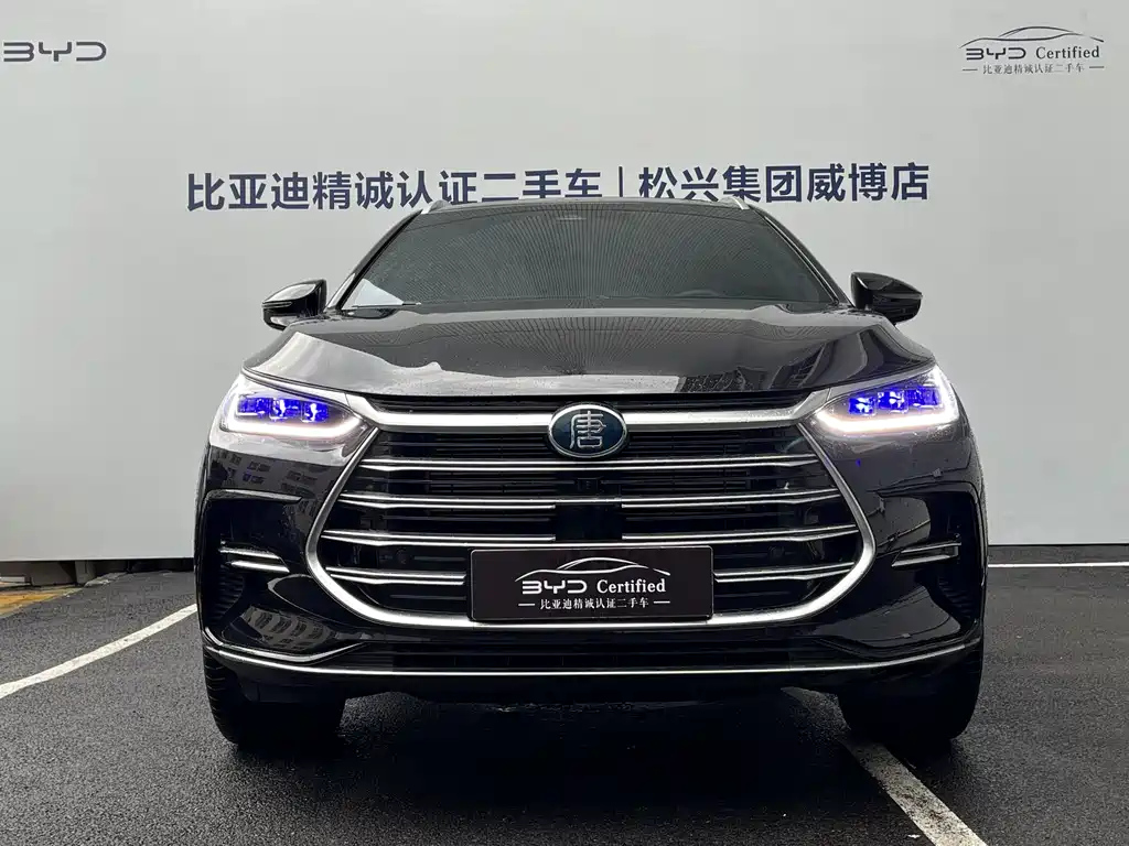 BYD TANG NEW ENERGY 2024