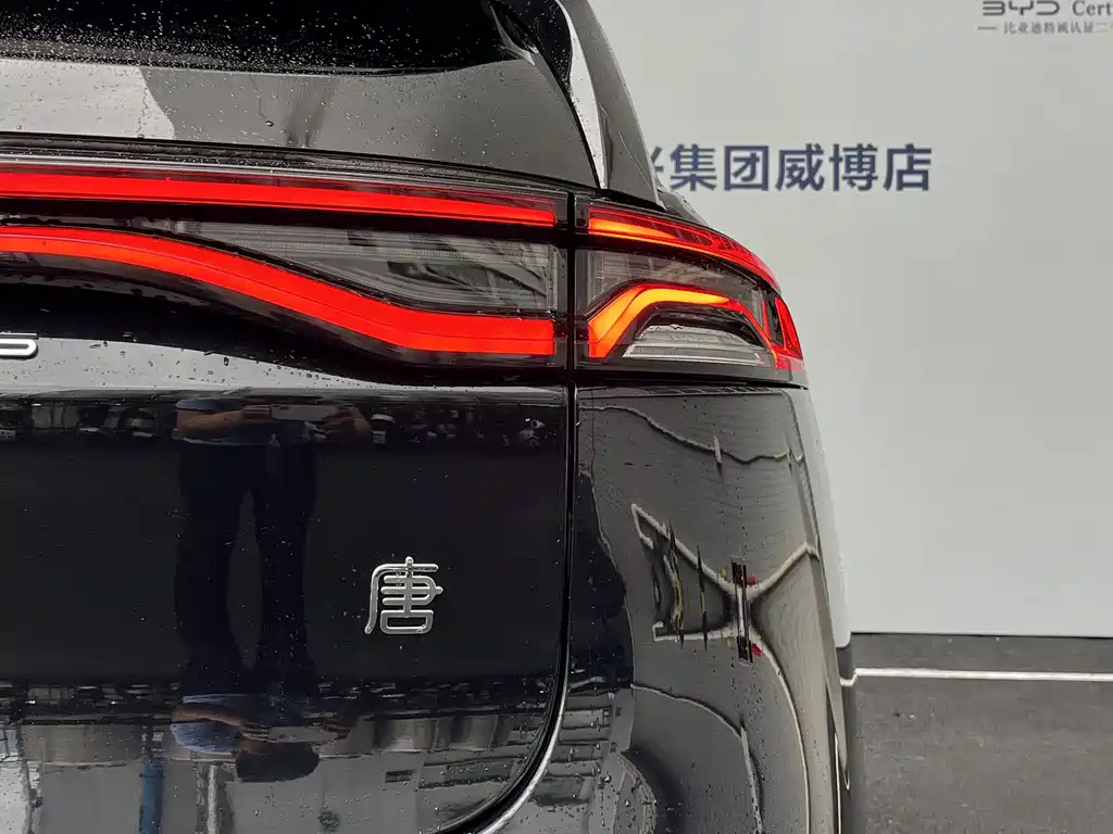 BYD TANG NEW ENERGY 2024