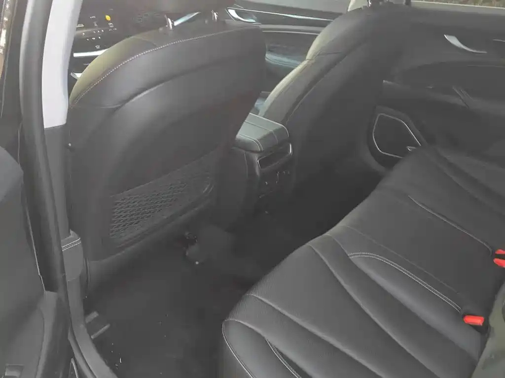GEELY AUTO BORUI 2020