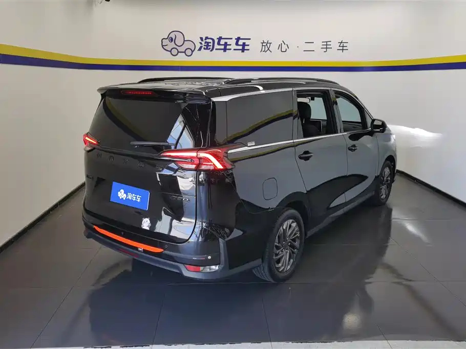 MAXUS OTHER 2020