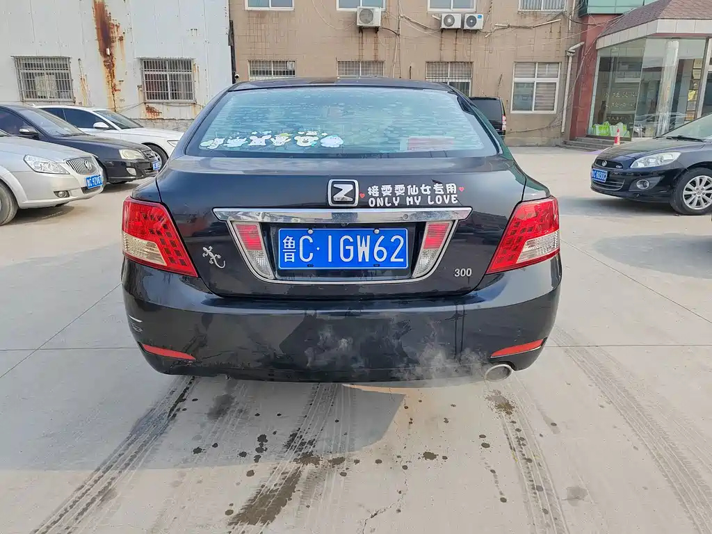 ZOTYE Z300 2014