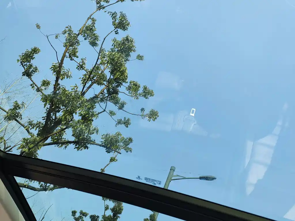 VOLKSWAGEN SAGITAR 2020