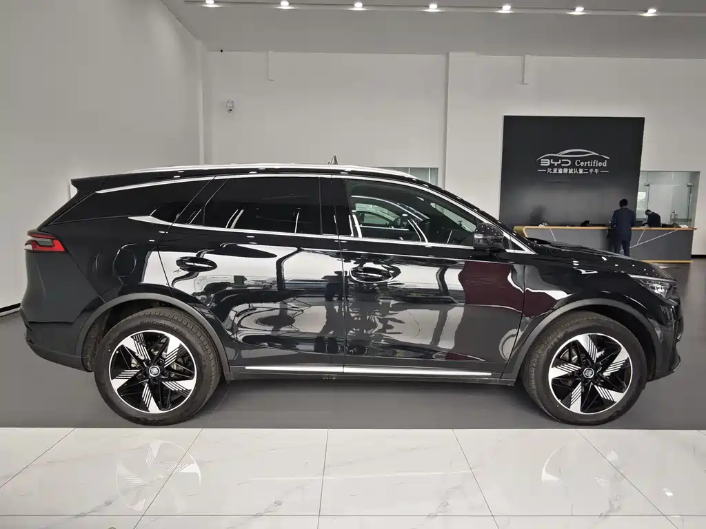 BYD TANG NEW ENERGY 2024