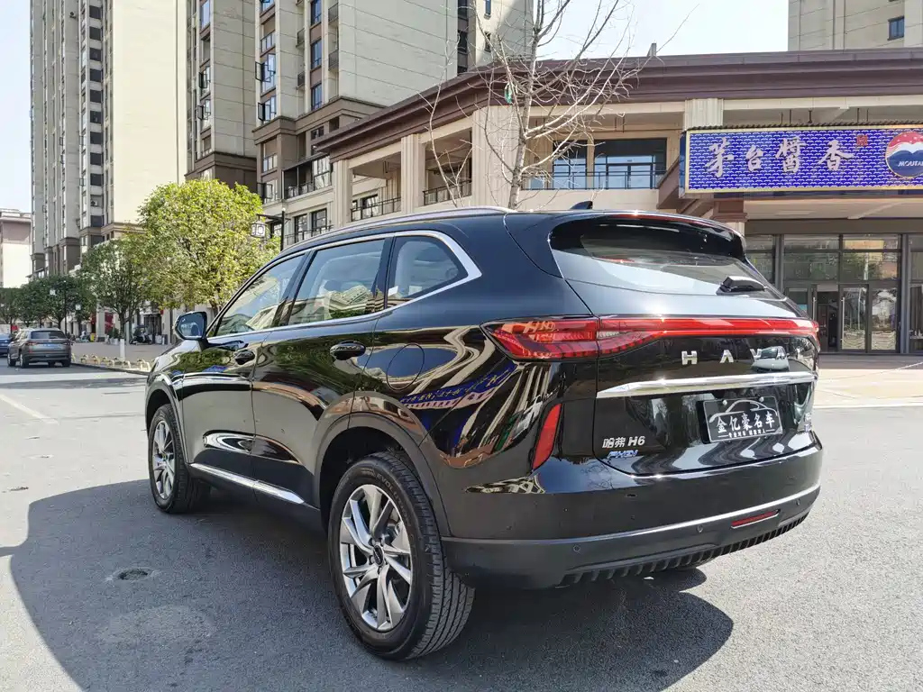 HAVAL H6 NEW ENERGY 2022
