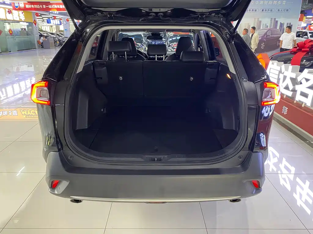 TOYOTA WILDLANDER 2021