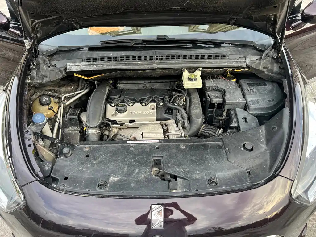 DS 5 2014