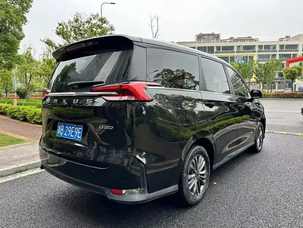 MAXUS OTHER 2019