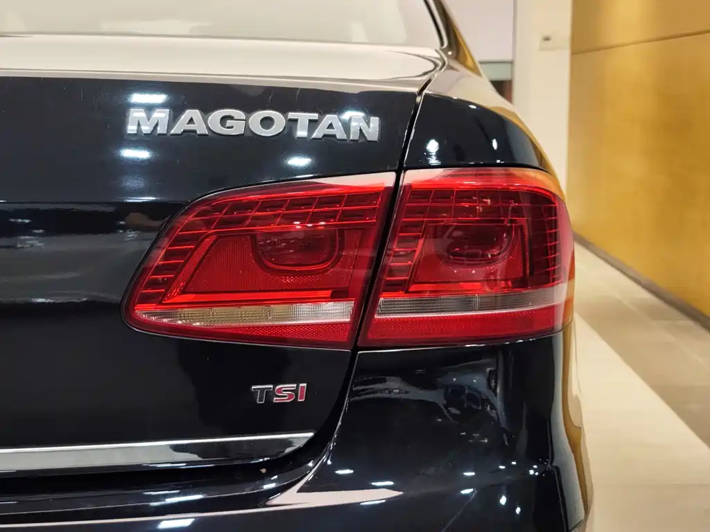 VOLKSWAGEN MAGOTAN 2013