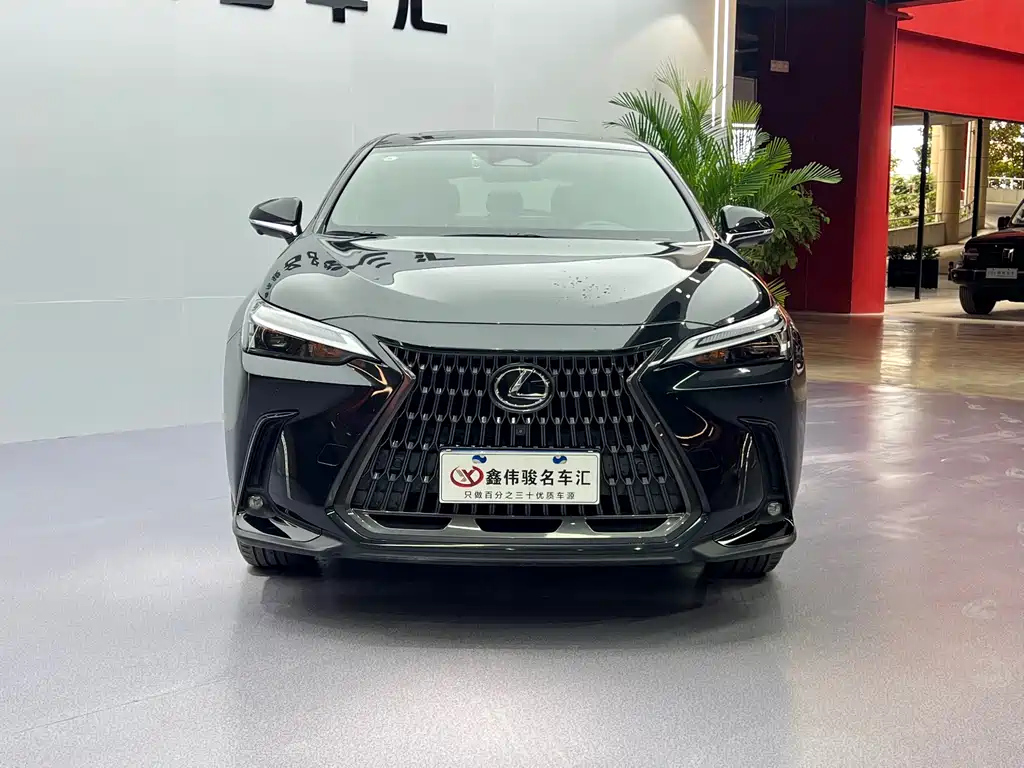 LEXUS NX 2022
