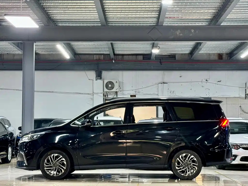 MAXUS OTHER 2020