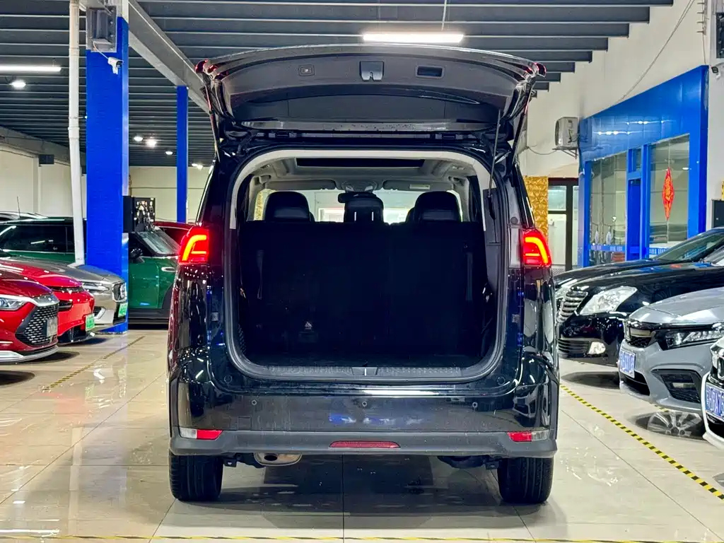 MAXUS OTHER 2020