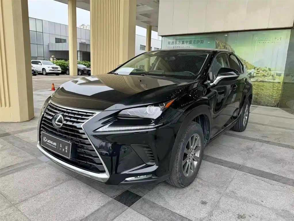 Аукционный лист LEXUS NX 2020