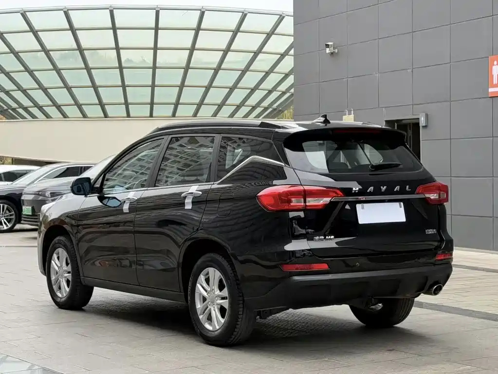 HAVAL M6 2019