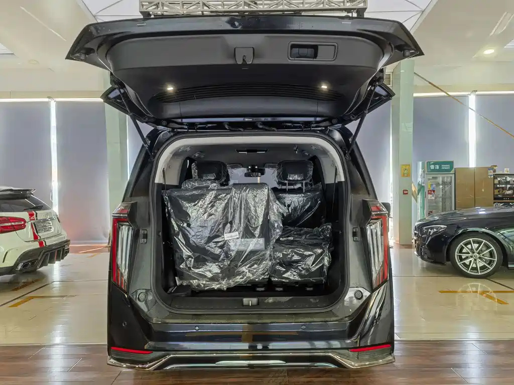 TRUMPCHI E9 2024