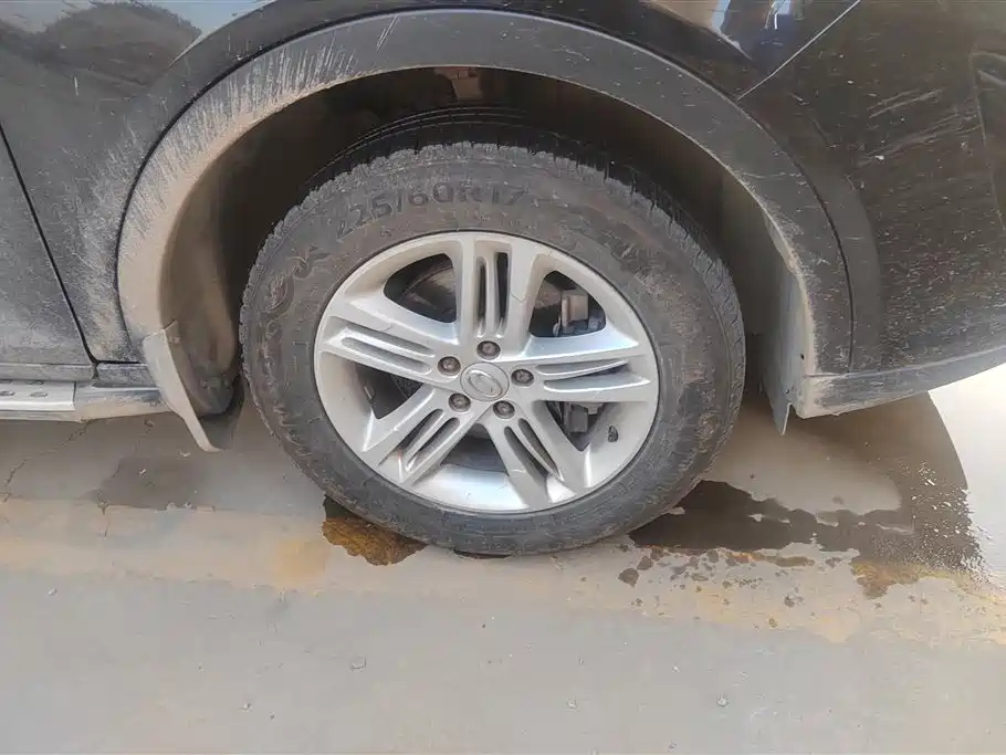 TRUMPCHI GS5 2013