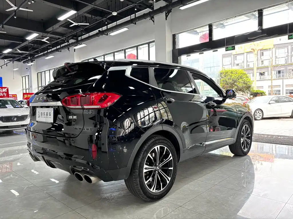 WEY VV6 2021