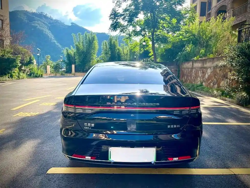 BYD DESTROYER 05 2024