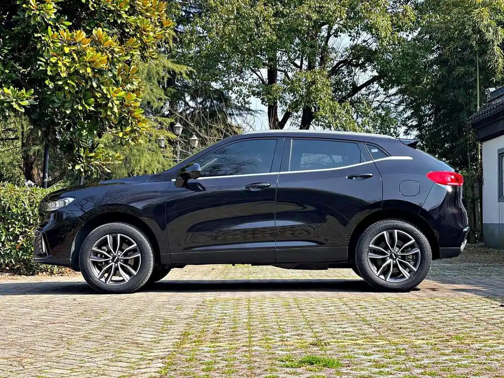 WEY VV5 2019
