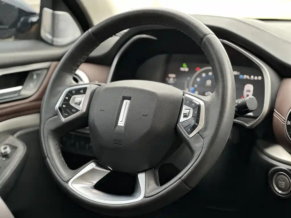 WEY VV6 2020
