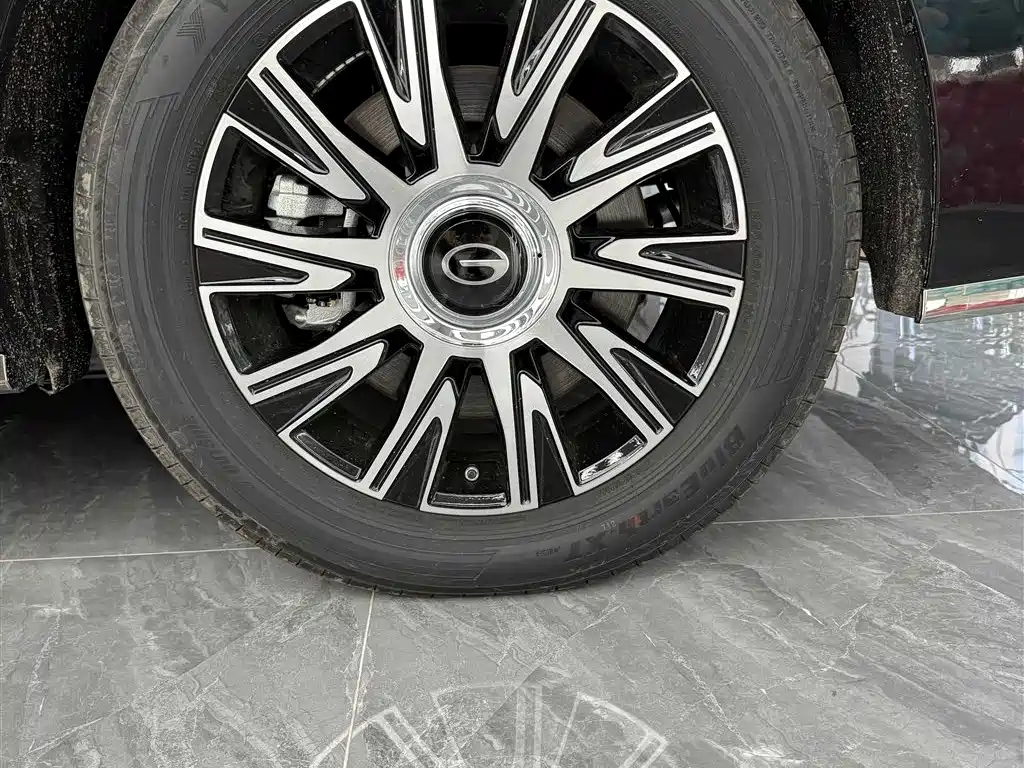 TRUMPCHI E9 2024