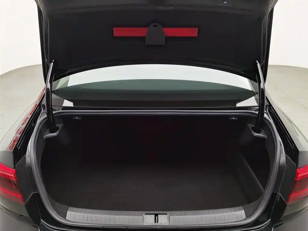 VOLKSWAGEN MAGOTAN 2020