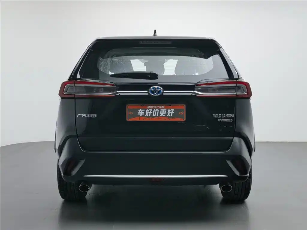 TOYOTA WILDLANDER 2021
