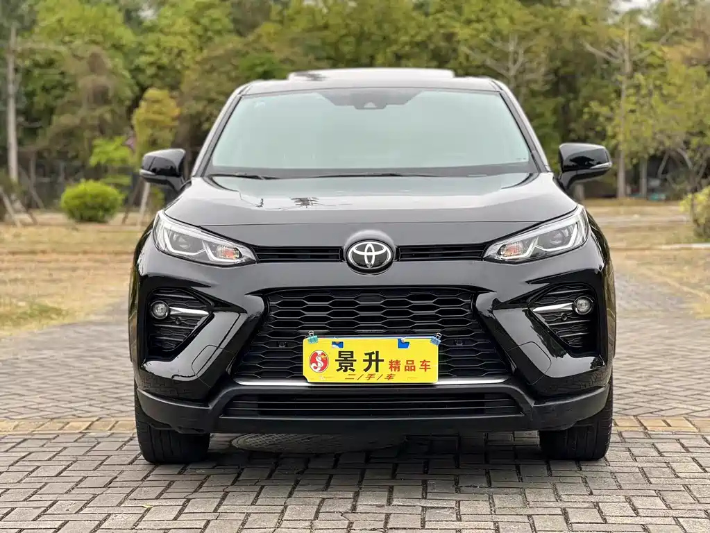 TOYOTA WILDLANDER 2020