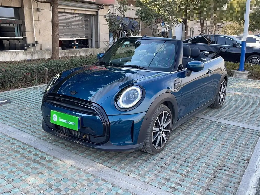 MINI OTHER 2022