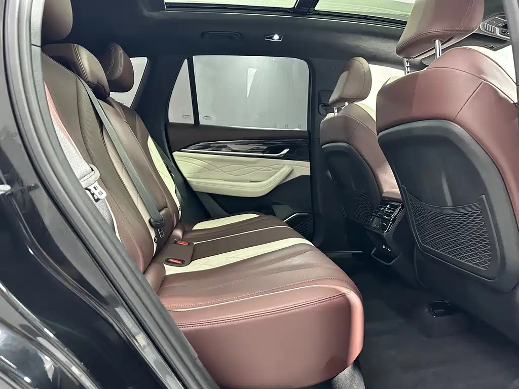 GEELY AUTO MONJARO 2021