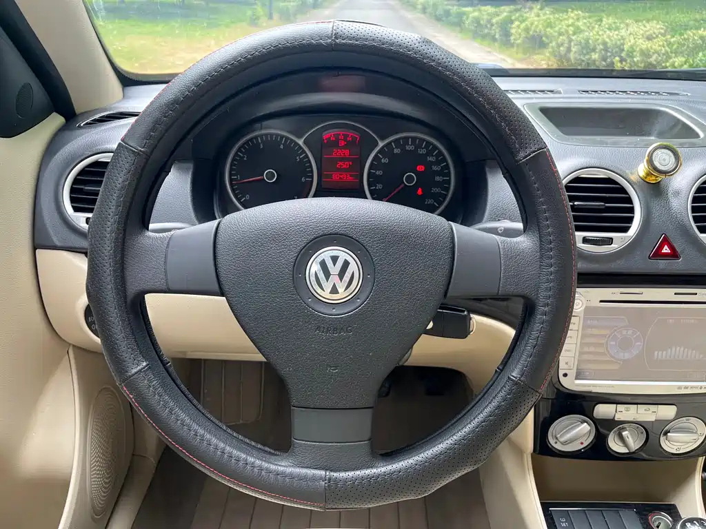 VOLKSWAGEN LAVIDA 2010