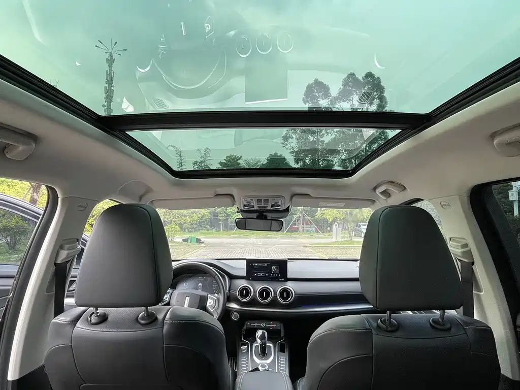 WEY VV6 2019