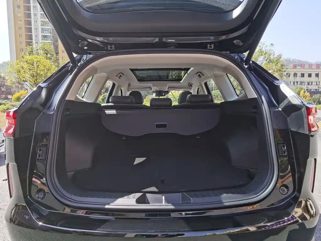 HAVAL H6 NEW ENERGY 2022