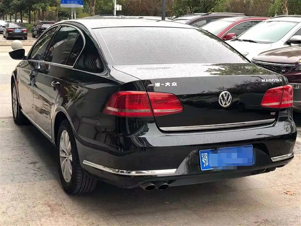 VOLKSWAGEN MAGOTAN 2014