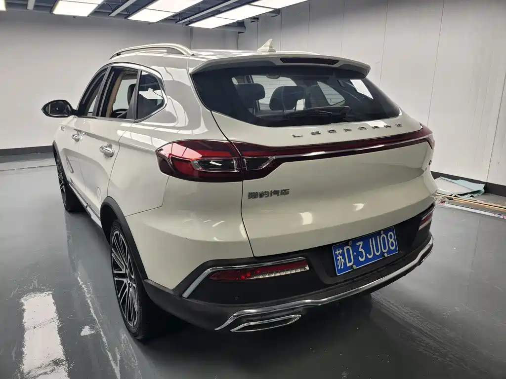 LEOPAARD MATTU 2019