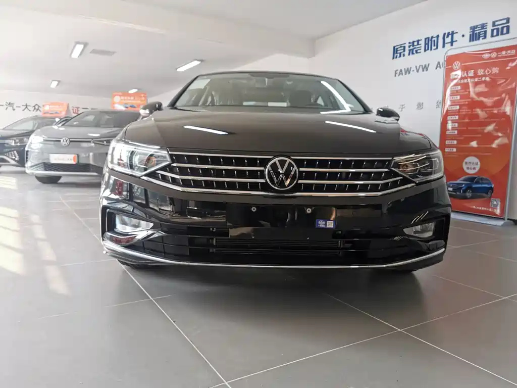 VOLKSWAGEN MAGOTAN 2024