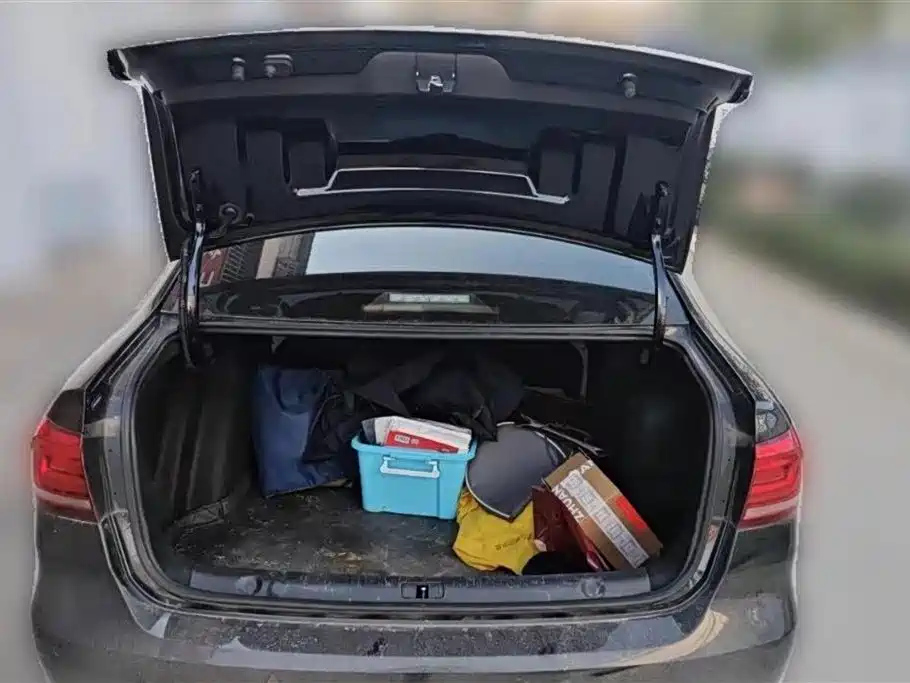 VOLKSWAGEN LAVIDA 2021