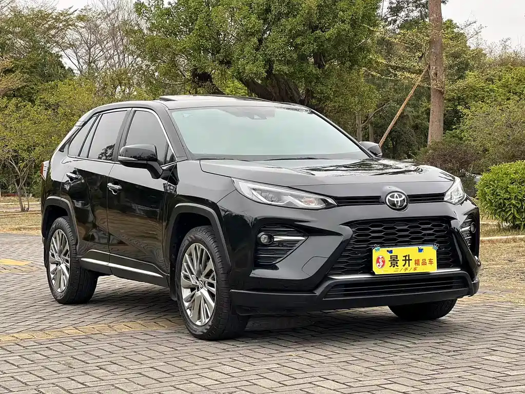 TOYOTA WILDLANDER 2020