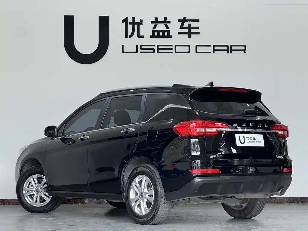HAVAL M6 2019