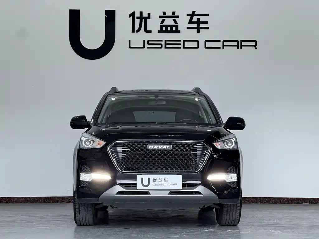HAVAL M6 2019