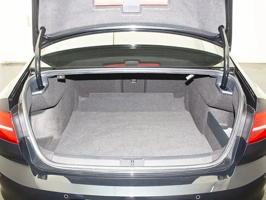 VOLKSWAGEN MAGOTAN 2020