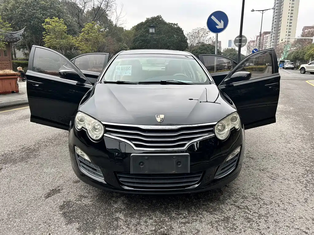 ROEWE 550 2010