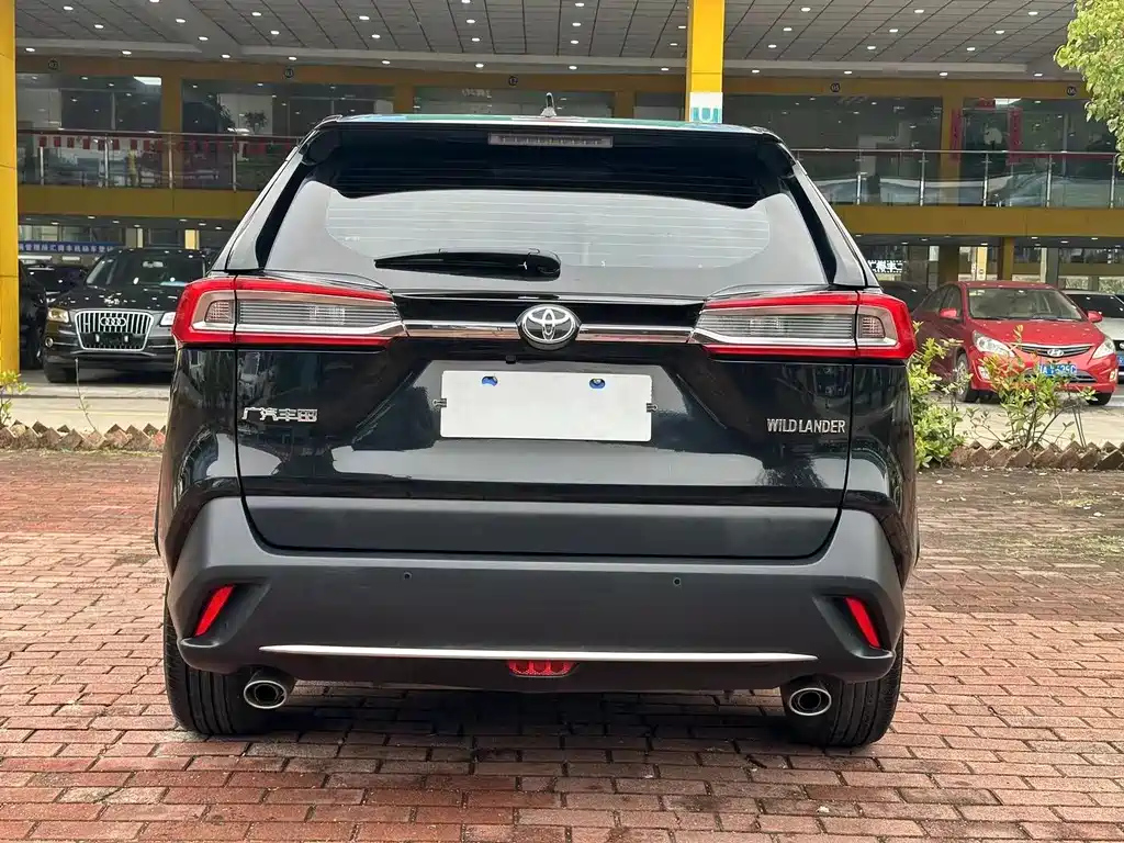 TOYOTA WILDLANDER 2021