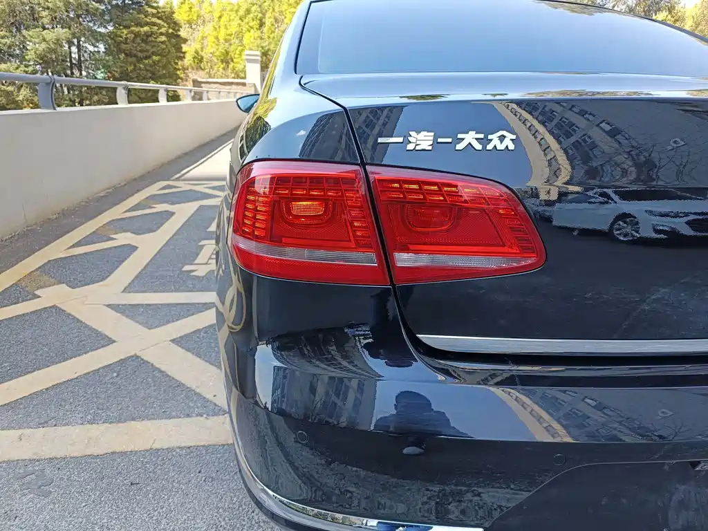 VOLKSWAGEN MAGOTAN 2014
