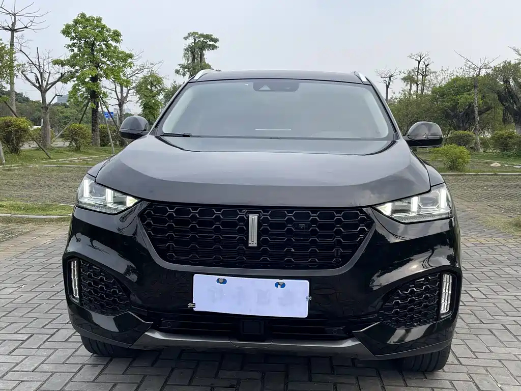 WEY VV6 2019