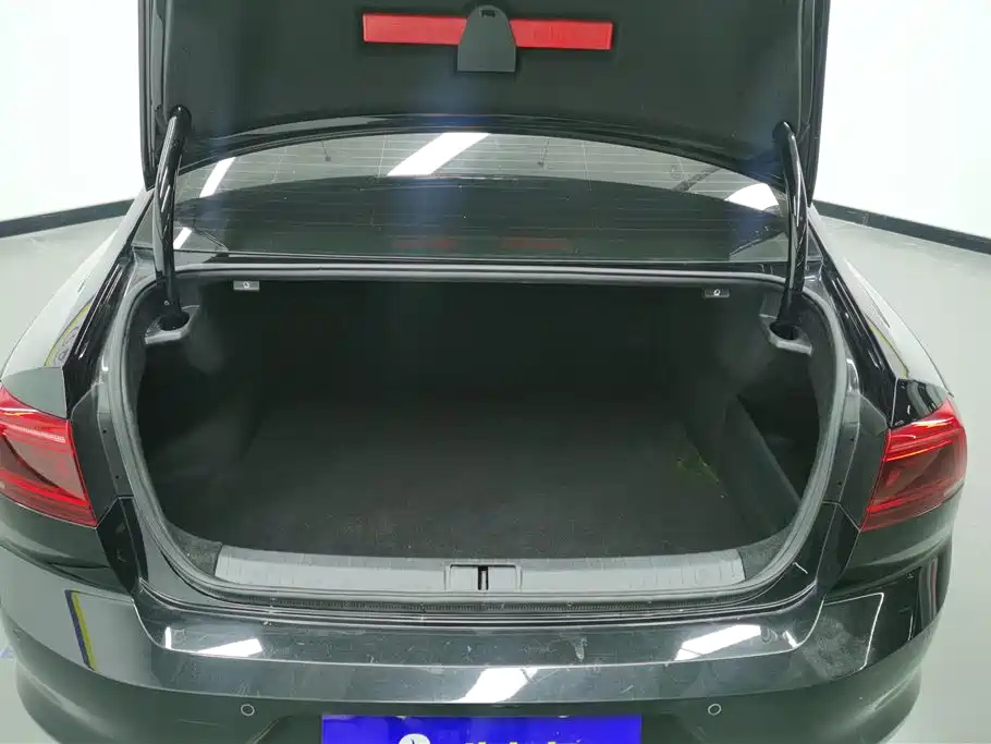 VOLKSWAGEN MAGOTAN 2021