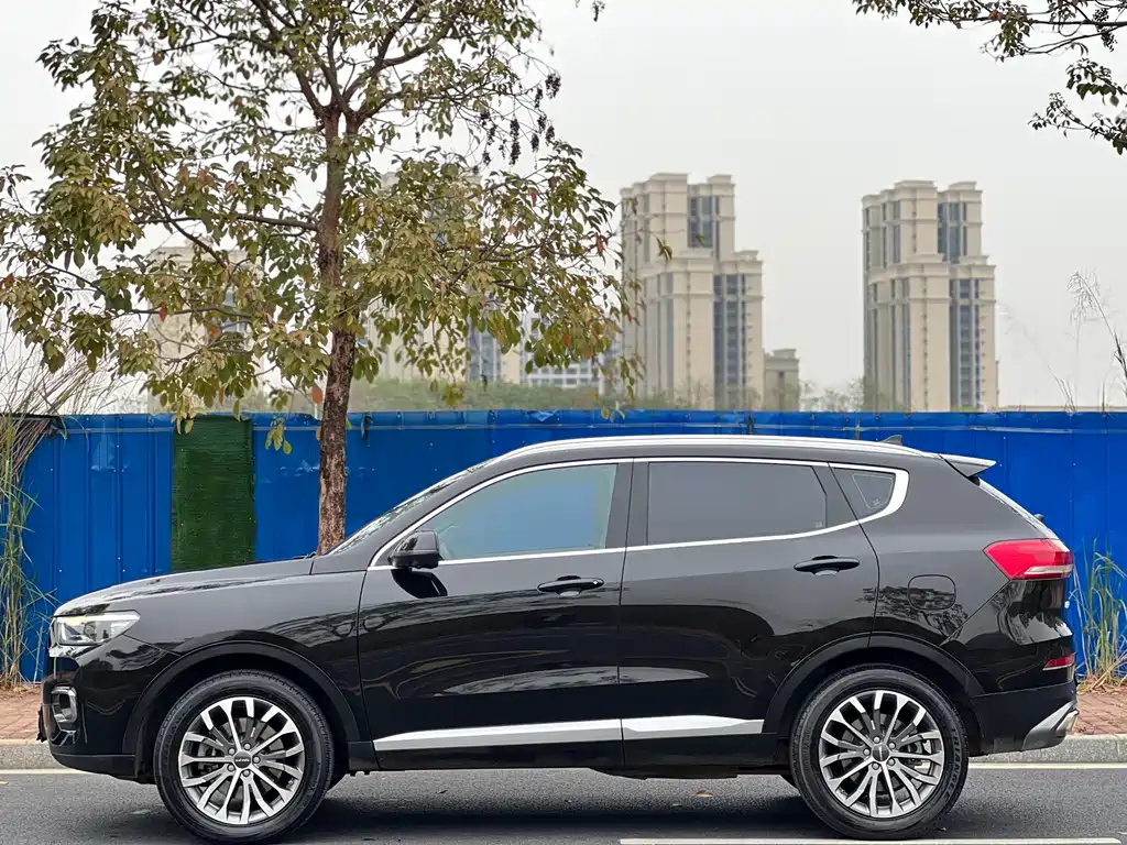 HAVAL H6 2020