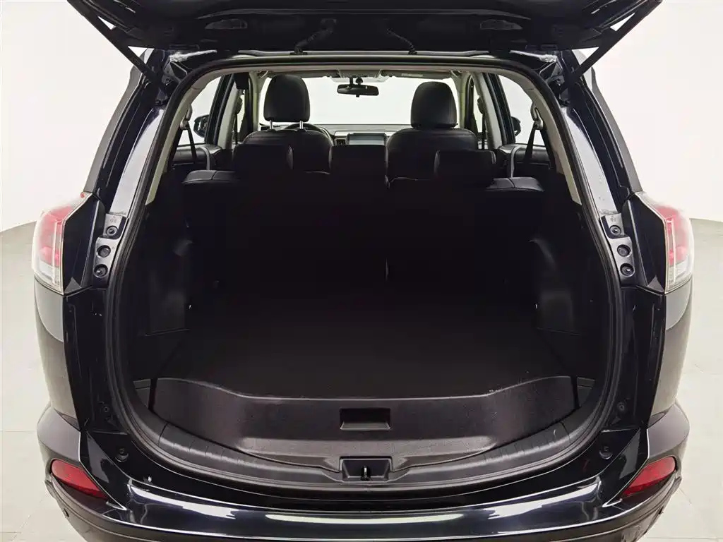 TOYOTA RAV4 RONGFANG 2019