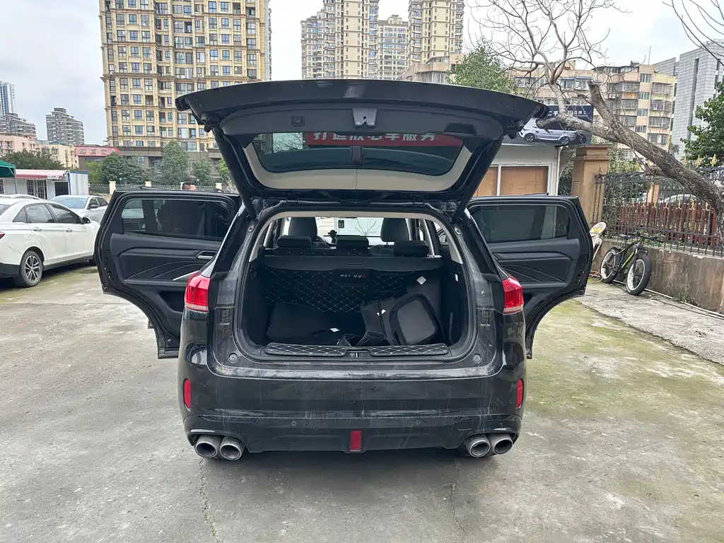 WEY VV6 2019